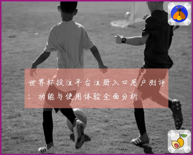世界杯投注平台注册入口用户测评：功能与使用体验全面分析