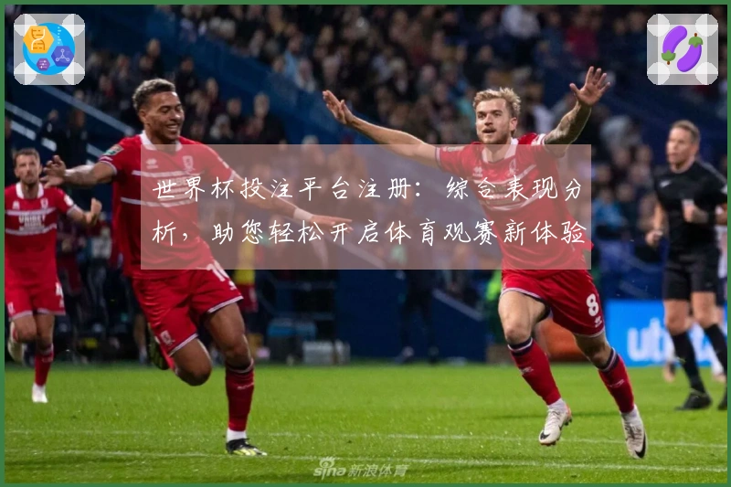 世界杯投注平台注册：综合表现分析，助您轻松开启体育观赛新体验