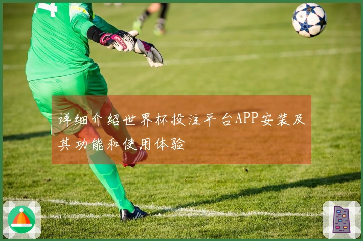 详细介绍世界杯投注平台APP安装及其功能和使用体验