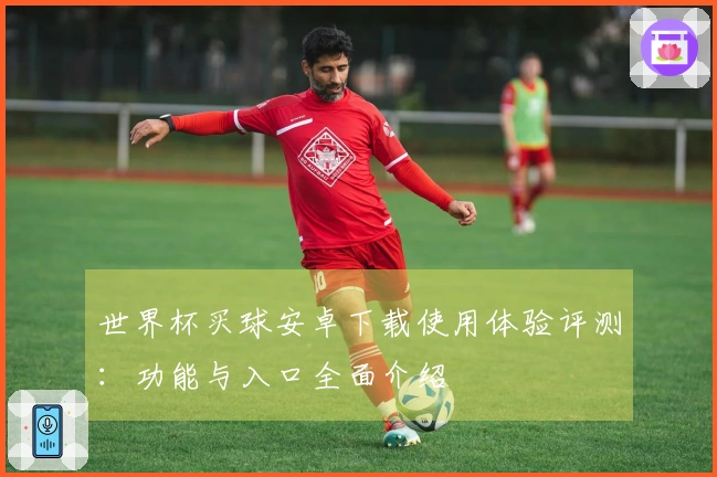 世界杯买球安卓下载使用体验评测：功能与入口全面介绍