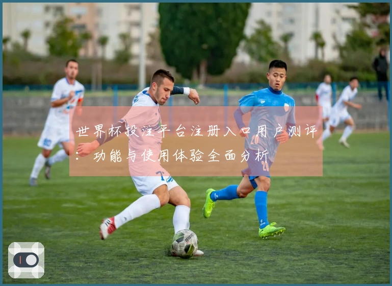 世界杯投注平台注册入口用户测评：功能与使用体验全面分析