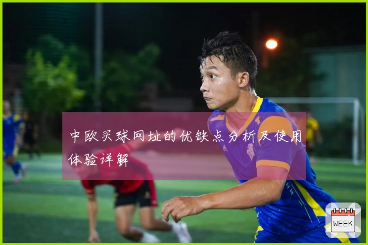 中欧买球网址的优缺点分析及使用体验详解