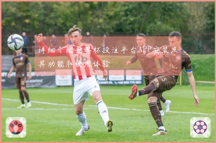 详细介绍世界杯投注平台APP安装及其功能和使用体验