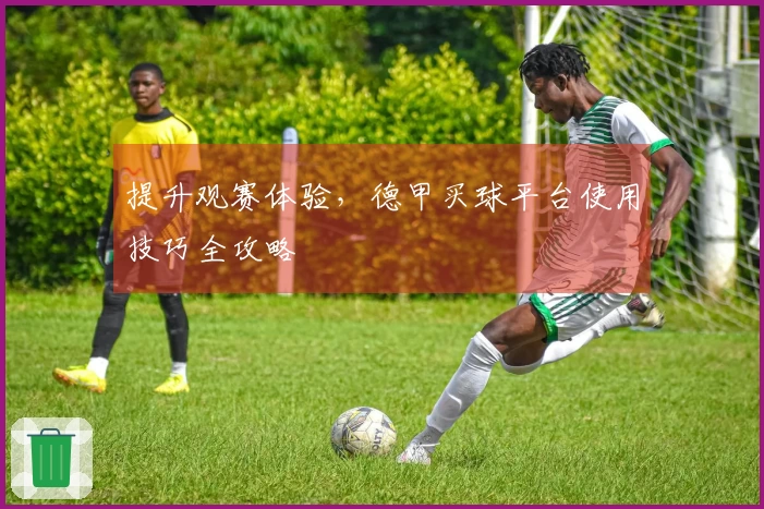 提升观赛体验，德甲买球平台使用技巧全攻略