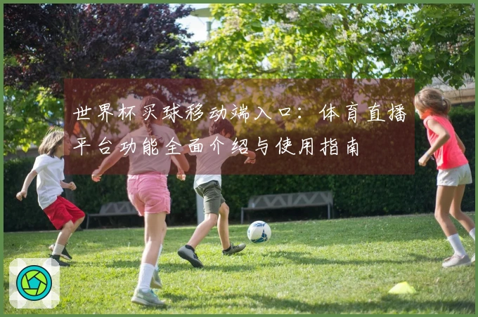 世界杯买球移动端入口：体育直播平台功能全面介绍与使用指南