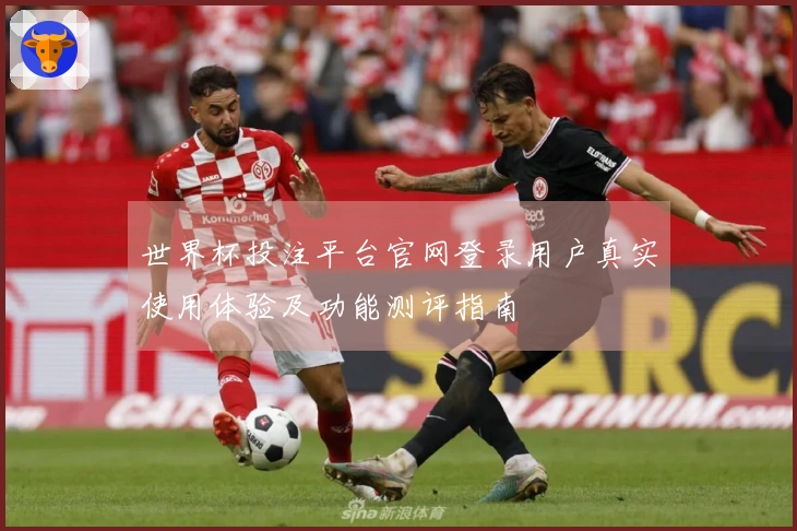 世界杯投注平台官网登录用户真实使用体验及功能测评指南