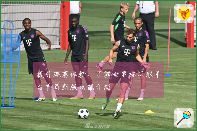 提升观赛体验，了解世界杯买球平台首页新版功能介绍