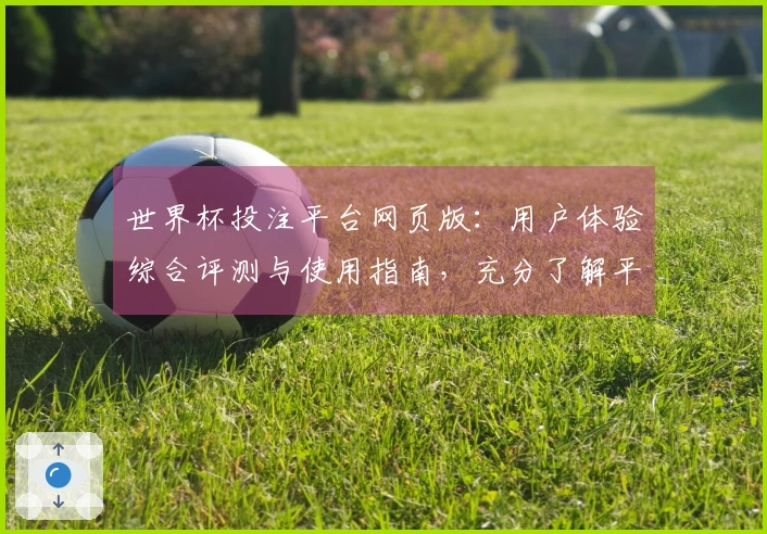 世界杯投注平台网页版：用户体验综合评测与使用指南，充分了解平台优势与功能