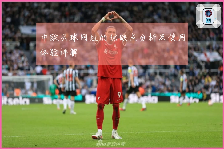 中欧买球网址的优缺点分析及使用体验详解