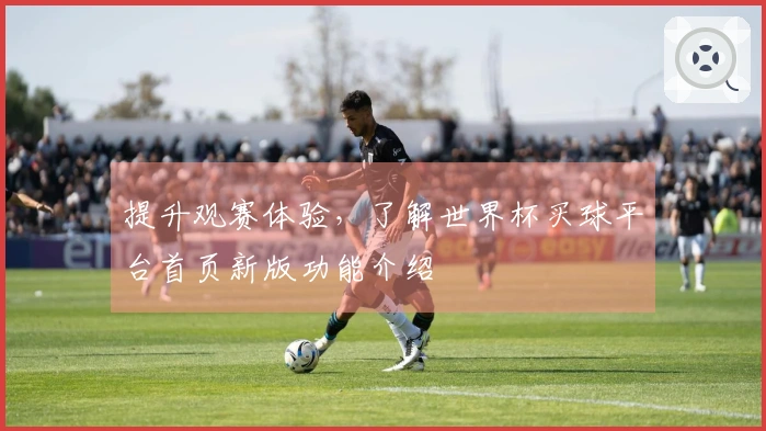 提升观赛体验，了解世界杯买球平台首页新版功能介绍
